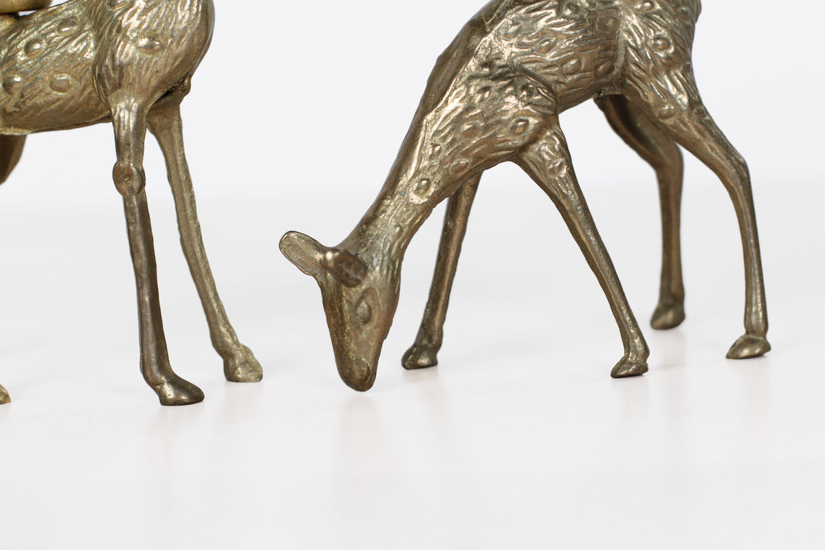 Vintage Brass Deer Candle Holders, Stag and Doe Pair