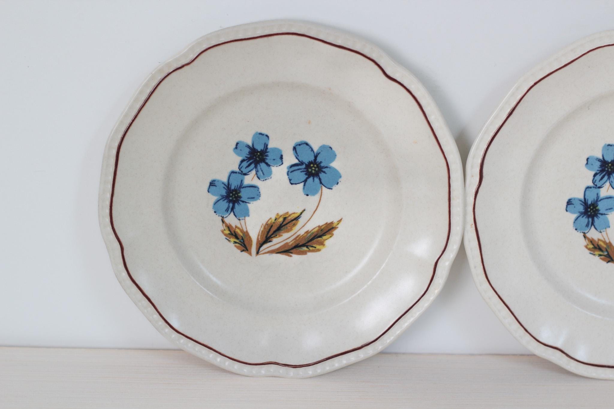 Pair of Vintage Blue Floral Staffordshire Ironstone Plates