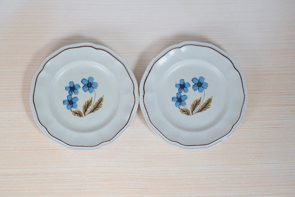 Pair of Vintage Blue Floral Staffordshire Ironstone Plates
