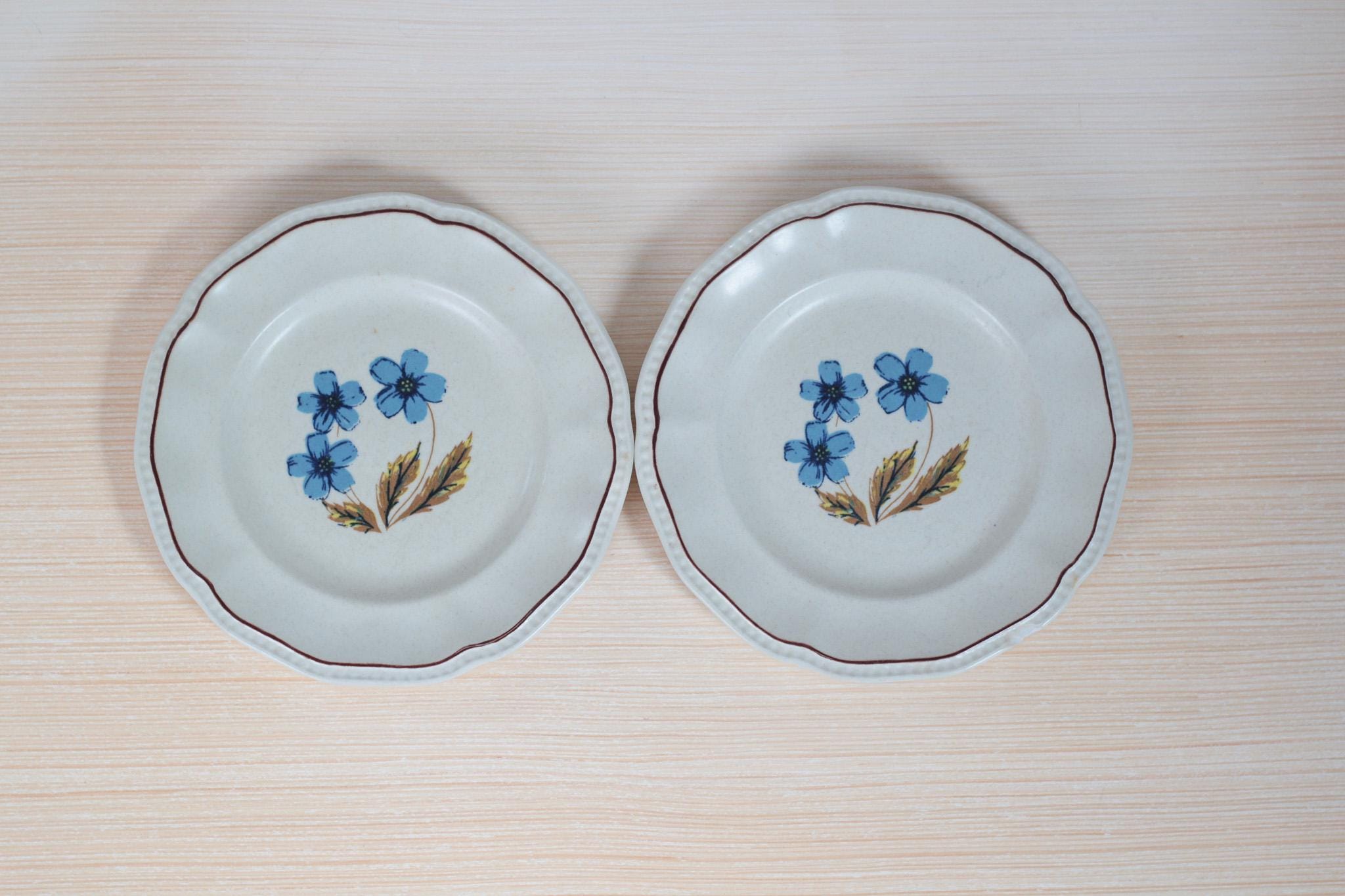 Pair of Vintage Blue Floral Staffordshire Ironstone Plates