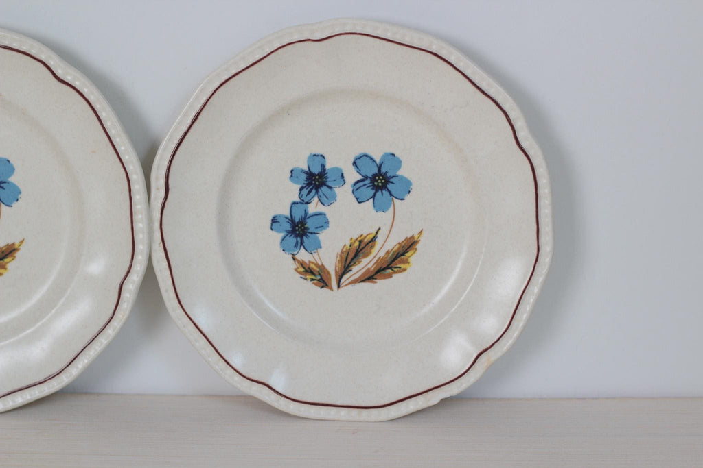 Pair of Vintage Blue Floral Staffordshire Ironstone Plates