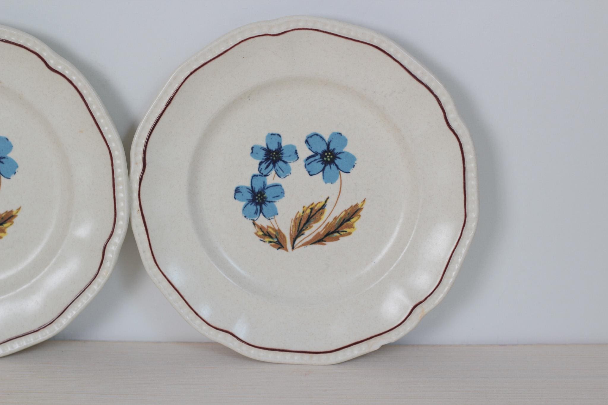 Pair of Vintage Blue Floral Staffordshire Ironstone Plates