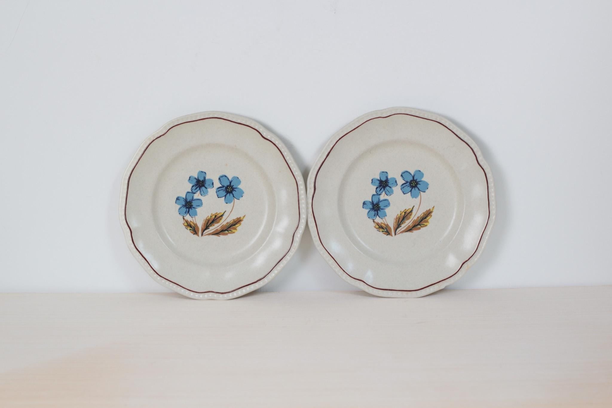 Pair of Vintage Blue Floral Staffordshire Ironstone Plates