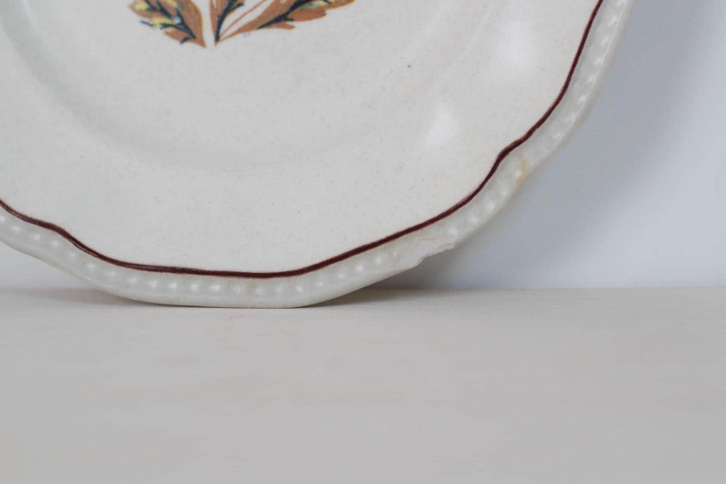 Pair of Vintage Blue Floral Staffordshire Ironstone Plates