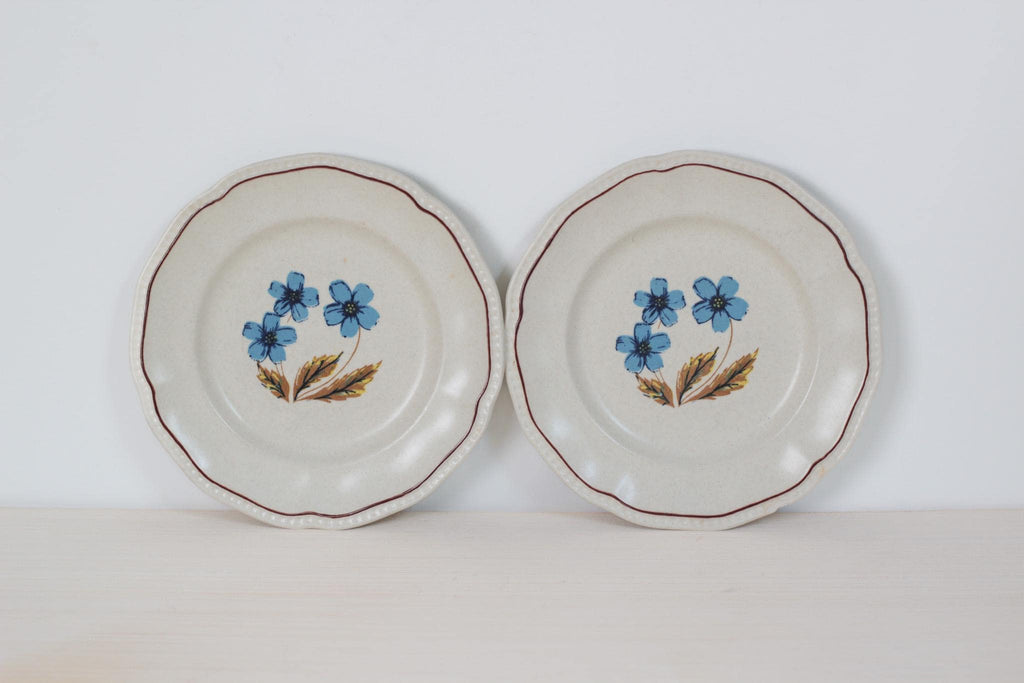 Pair of Vintage Blue Floral Staffordshire Ironstone Plates